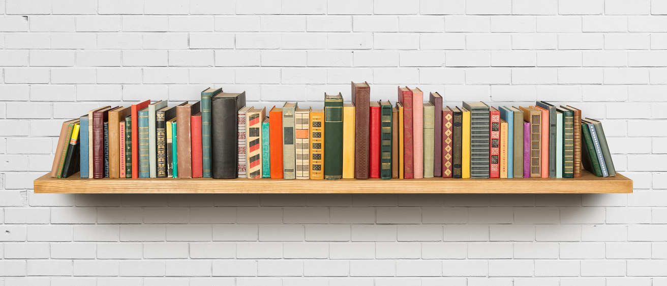 Bookshelf on a white wall