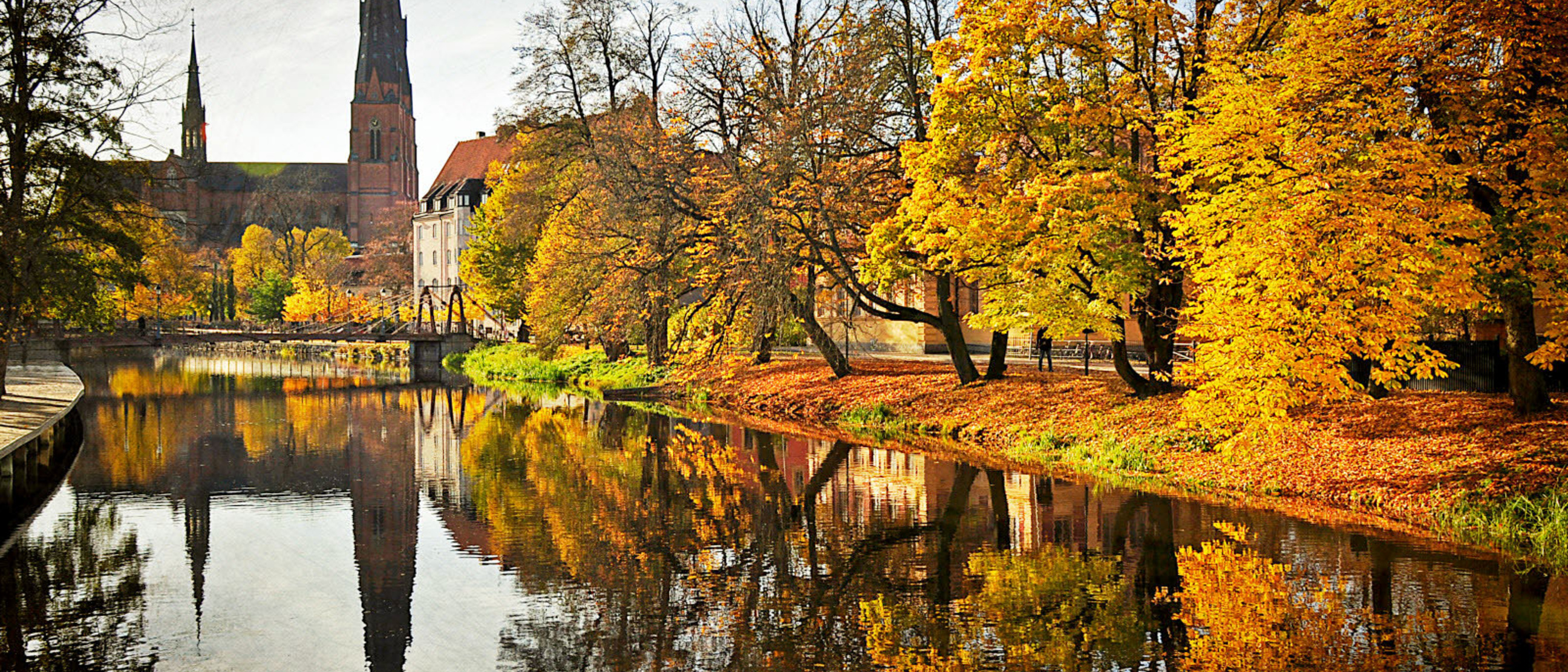 Swedish Language and Culture Resources | Center for Language and ...